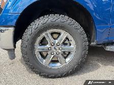2024 Ford F-150 XLT | 5.0L V8 | 360 Cam | Hitch | Keyless - Photo 19