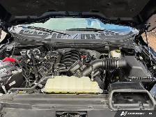 2024 Ford F-150 XLT | 5.0L V8 | 360 Cam | Hitch | Keyless - Photo 21