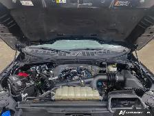 2024 Ford F-150 XLT | 4x4 | 360 Cam | Lane Keep Assist | Hitch - Photo 14