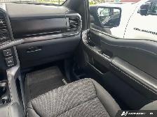 2024 Ford F-150 XLT | 4x4 | 360 Cam | Lane Keep Assist | Hitch - Photo 29