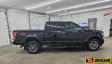 XLT, 5.0L, 5.5' BOX, REMOTE START, HEATED SEATS - Photo 3