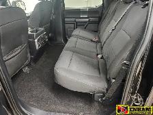 XLT, 5.0L, 5.5' BOX, REMOTE START, HEATED SEATS - Photo 13