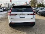 2026 Honda CR-V Sport AWD - Photo 22
