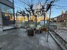 1-BDRM BSMT APT. ON BEAUTIFUL DELAWAREAVE. - Photo 8