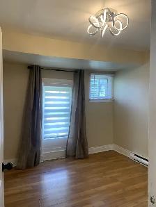 Corydon Village/Osborne Village-527 McMillan Ave - Photo 6