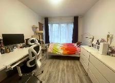Urgent!  3 chambres / bedrooms - Monk Angrignon Station - Photo 4