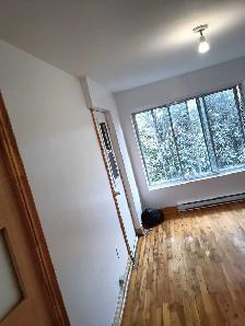peintre 438-701-2096
