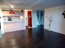 Why rent a studio?  This Downtown 1 Bedroom Den for $1,300 - Photo 2