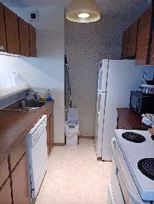 Why rent a studio?  This Downtown 1 Bedroom Den for $1,300 - Photo 4