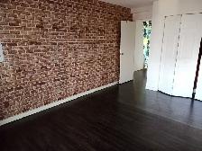 Why rent a studio?  This Downtown 1 Bedroom Den for $1,300 - Photo 5