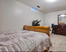 Spacious Basement Apartment for Rent
