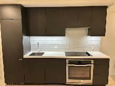Female Roommate Wanted for a private bedroom in Core Downtown - Photo 3