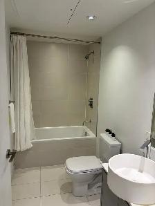 Female Roommate Wanted for a private bedroom in Core Downtown - Photo 4