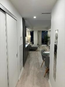Female Roommate Wanted for a private bedroom in Core Downtown - Photo 11