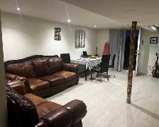 Above ground basement for rent