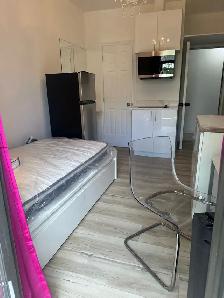 Furnished Studio w/Balcony - DOWNTOWN - Photo 4