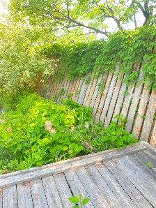 Looking for an Experienced General Contractor / Renovation Team - Photo 2