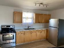 Niagara Boulevard – 2 Bedroom Apartment For Rent. $1,395/Month - Photo 4