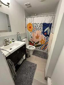 logement à louer