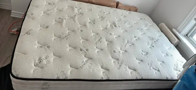 Mattress Sale :: Same Day Delivery Available