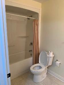 Haliburton condominium for rent - Photo 2