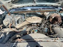 1981 Ford XLT 2wd - Photo 5