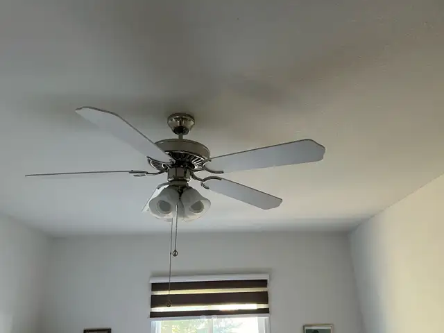 ceiling fans with lights