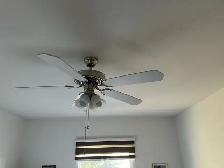 ceiling fans with lights