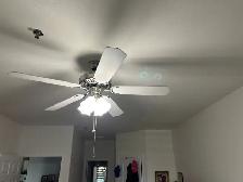 ceiling fans with lights - Photo 2