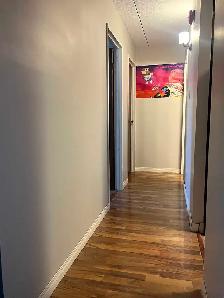 seeking a roommate asap - Photo 4