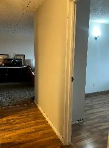 seeking a roommate asap - Photo 6