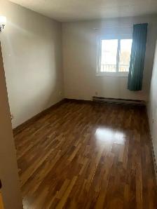 seeking a roommate asap - Photo 7