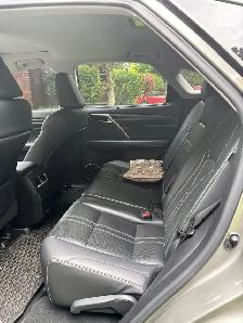 2022 Lexus RX 350 Luxury (V6 3.5) - Photo 4