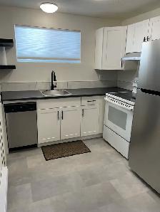 Newly Renovated 1 Bedroom Apartment for Rent
