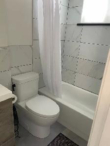 Newly Renovated 1 Bedroom Apartment for Rent - Photo 2