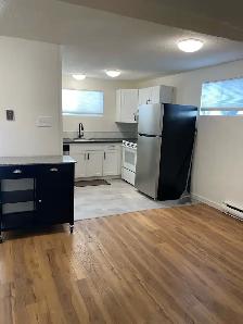 Newly Renovated 1 Bedroom Apartment for Rent - Photo 7