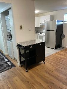 Newly Renovated 1 Bedroom Apartment for Rent - Photo 9
