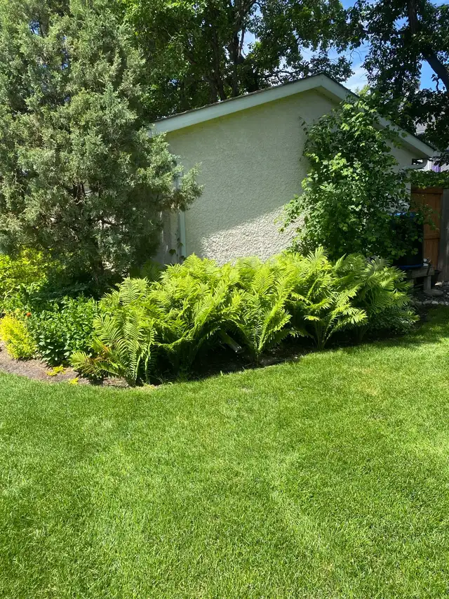 landscaping help