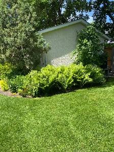 landscaping help