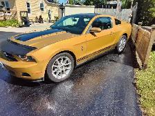 Mustang,Ford, Certified, - Photo 8