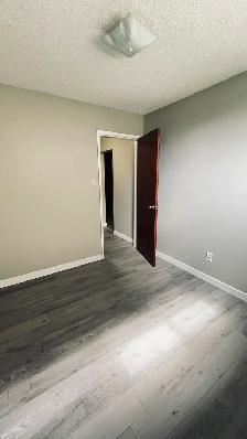 FOR RENT 1 & 2 Bd apartments - 11916 105 St Edmonton area NAIT - Photo 2