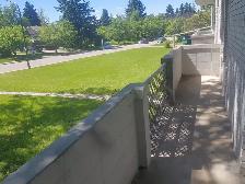 Looking for a great place to live with AWESOME landlords? - Photo 9