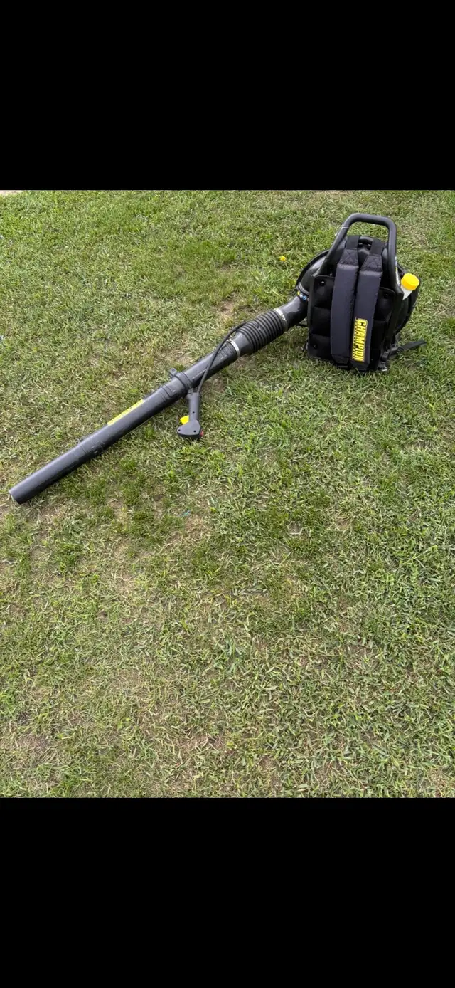 Champion power pack leaf blower