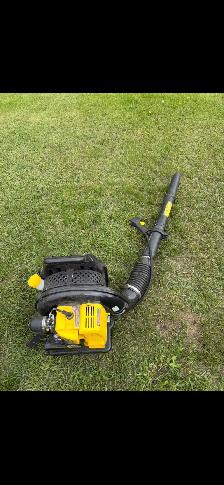 Champion power pack leaf blower - Photo 2