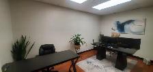 Office Space in West end of Kingston in a quiet wing - Photo 3