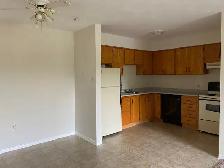 1-Bedroom Apartment in Lower Sackville available August 1st - Photo 2