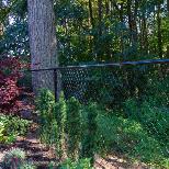Chain Link 6FT Height Fences Security Commercial andResidential - Photo 5
