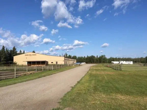 Stable Manager Wanted
