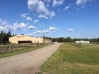 Stable Manager Wanted