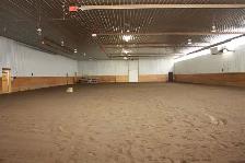 Stable Manager Wanted - Photo 2